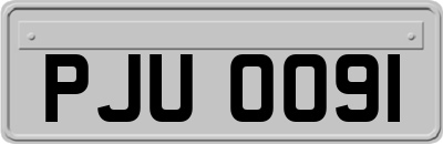PJU0091