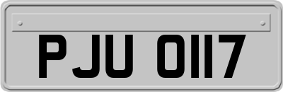 PJU0117