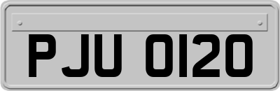 PJU0120