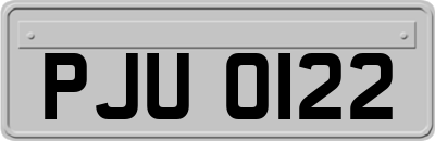 PJU0122