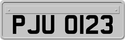 PJU0123