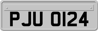 PJU0124