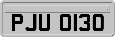 PJU0130