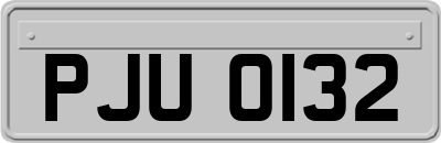 PJU0132