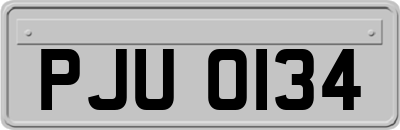 PJU0134