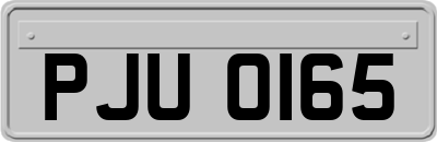 PJU0165