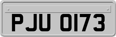 PJU0173