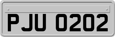PJU0202