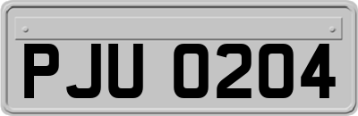 PJU0204