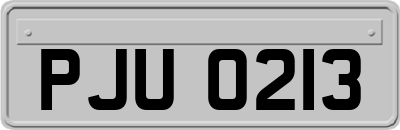 PJU0213