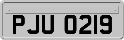 PJU0219
