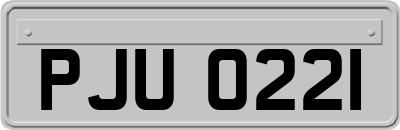 PJU0221