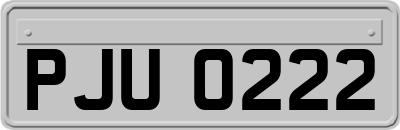 PJU0222