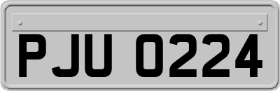 PJU0224