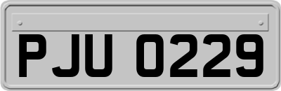 PJU0229