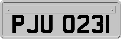 PJU0231
