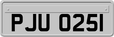 PJU0251