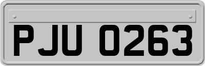 PJU0263