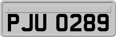 PJU0289