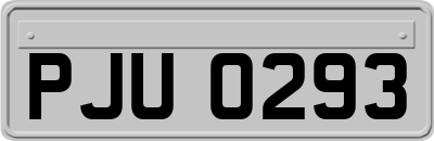 PJU0293