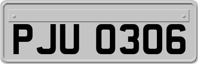 PJU0306