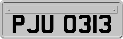 PJU0313
