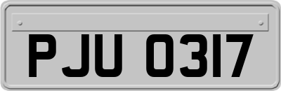 PJU0317