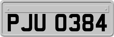 PJU0384