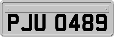 PJU0489
