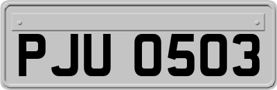 PJU0503