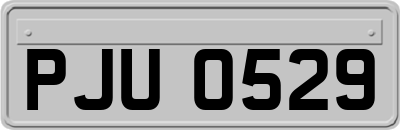 PJU0529