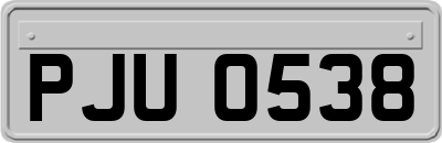 PJU0538