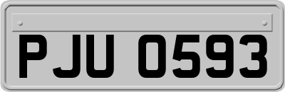 PJU0593