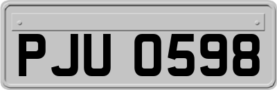 PJU0598