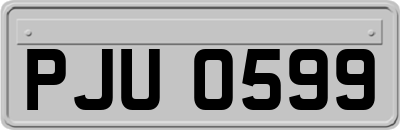 PJU0599