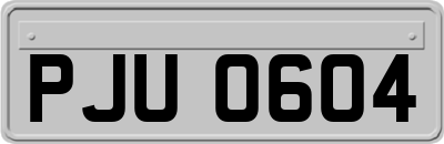 PJU0604