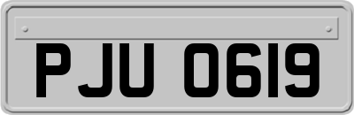 PJU0619