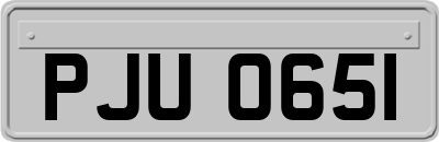 PJU0651