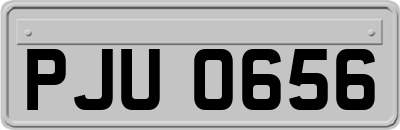 PJU0656