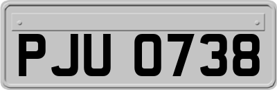 PJU0738
