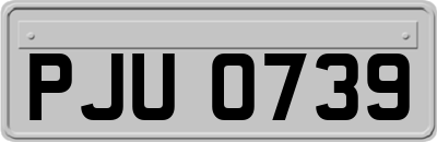PJU0739