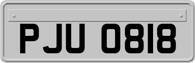 PJU0818