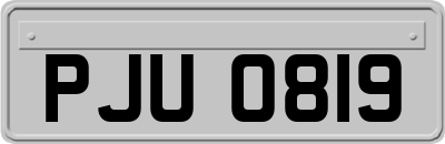 PJU0819