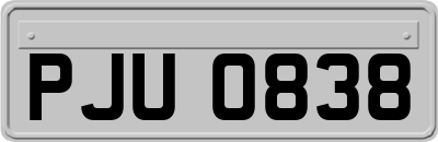 PJU0838