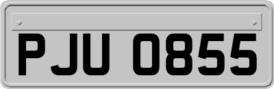 PJU0855