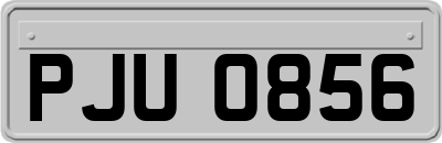 PJU0856