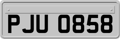 PJU0858