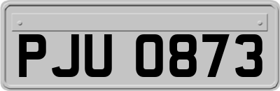 PJU0873