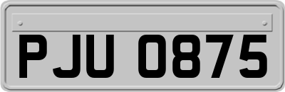 PJU0875