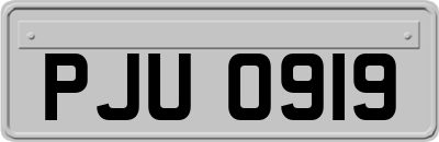 PJU0919